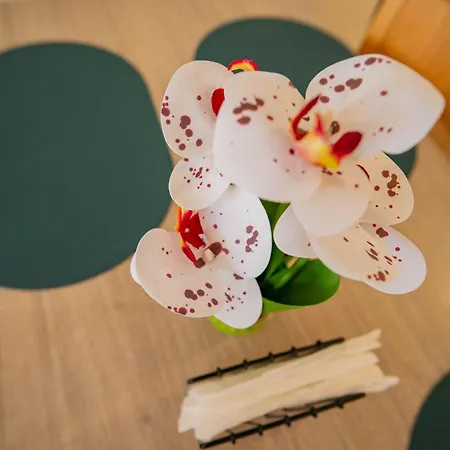 Daire The Sea Balcony - 1bd By Flat Mаnager Burgaz